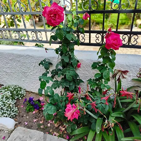 Apartamento Aigaio